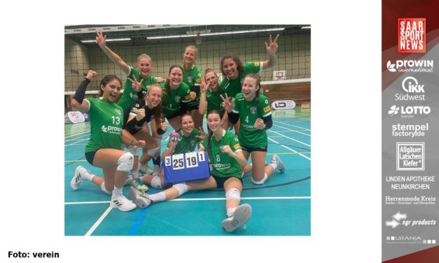 proWIN Volleys TV Holz sammeln weiter munter Punkte